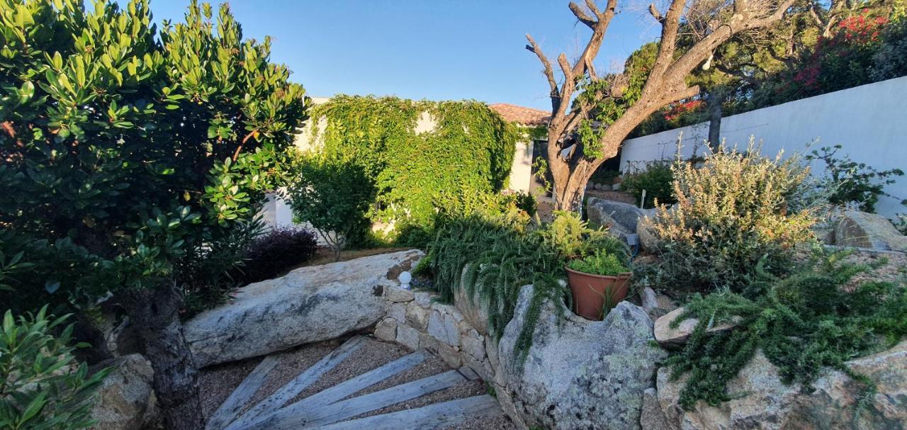 Tres Belle Residence Vue Mer Et Piscine Chauffee - Baccalocation 포르토베쉬오 외부 사진